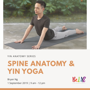 Spine anatomy Yin Yoga