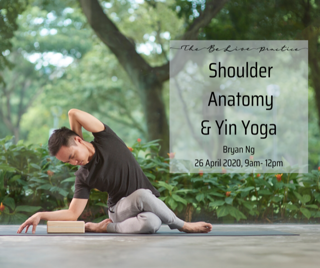 Shoulder Anatomy Yin Yoga